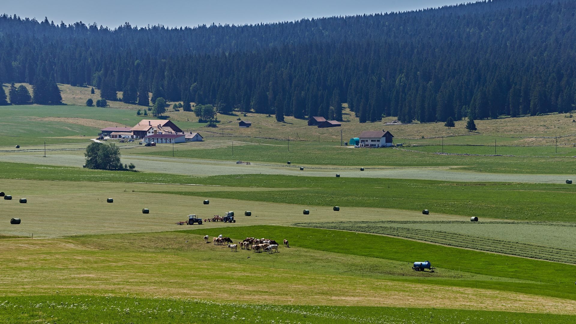 Surfaces exploitées de manière intensive au fond de la vallée et pâturages boisés sur les flancs.