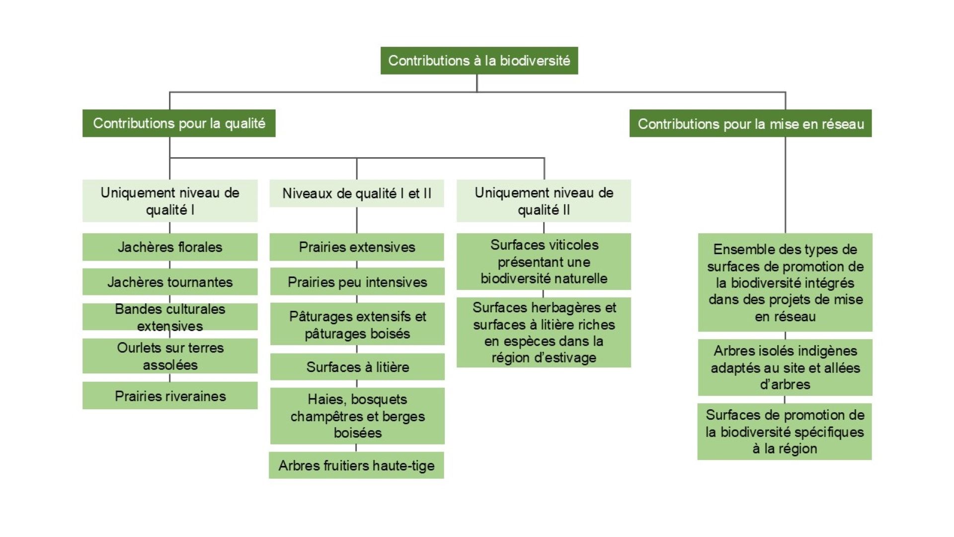 Le graphique donne un aperçu des différents types de contributions à la biodiversité. Celles-ci comprennent les contributions pour la qualité et les contributions pour la mise en réseau.