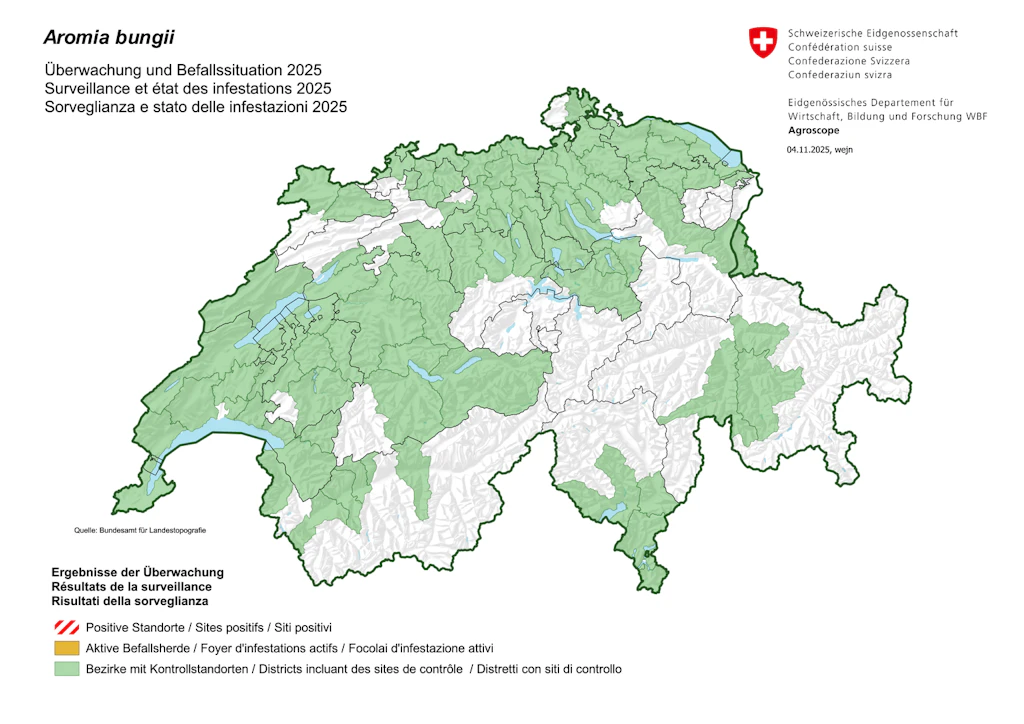 Carte 2025 relative à la surveillance et à la situation des infestations au 4 novembre 2025