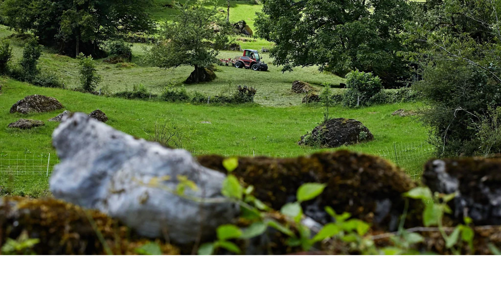 Prairies et pâturages riches en structures dans le canton de de Glaris