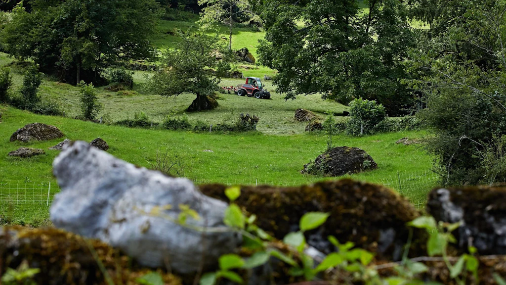 Prairies et pâturages riches en structures dans le canton de de Glaris