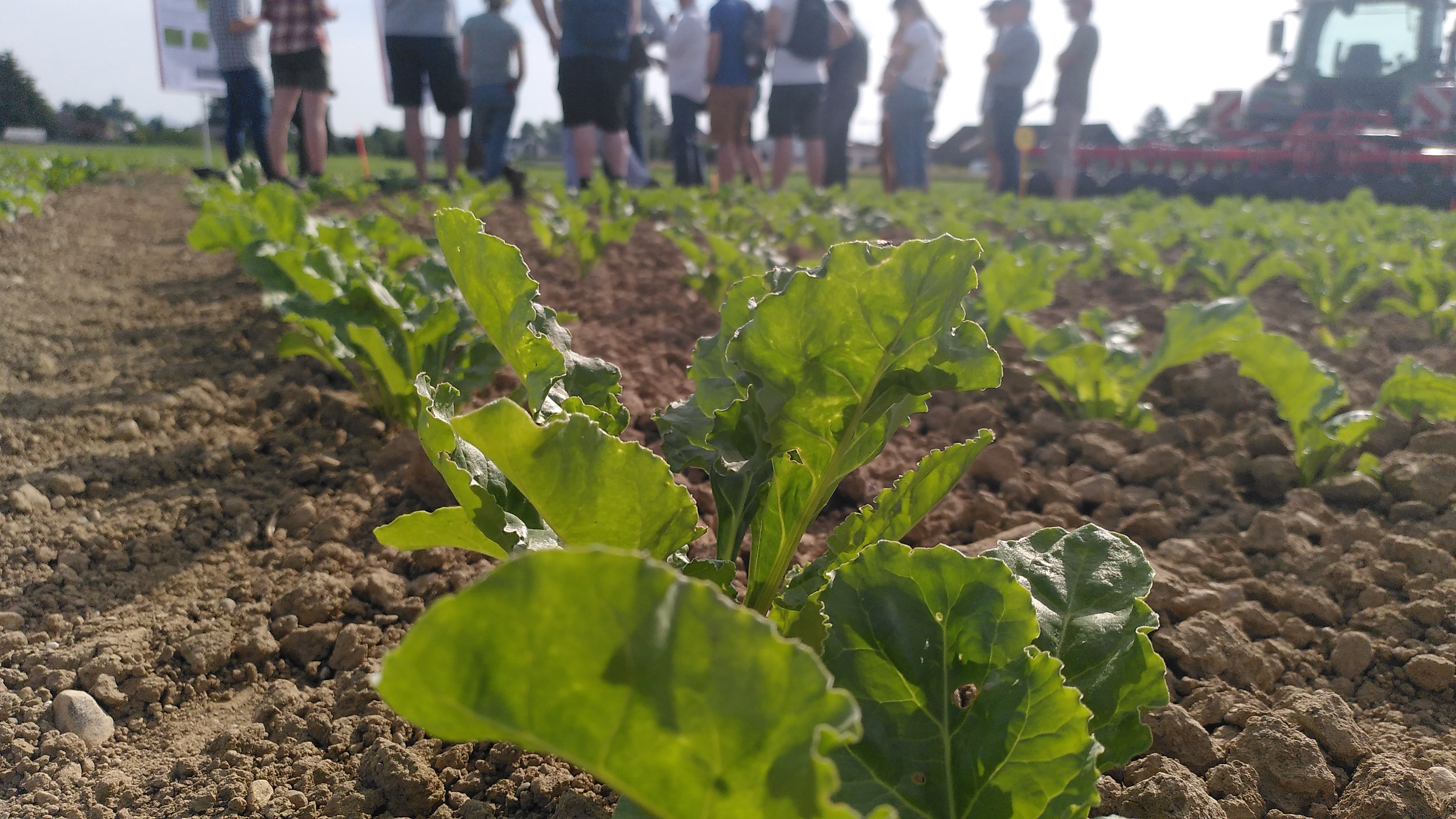 Produits phytosanitaires 2024