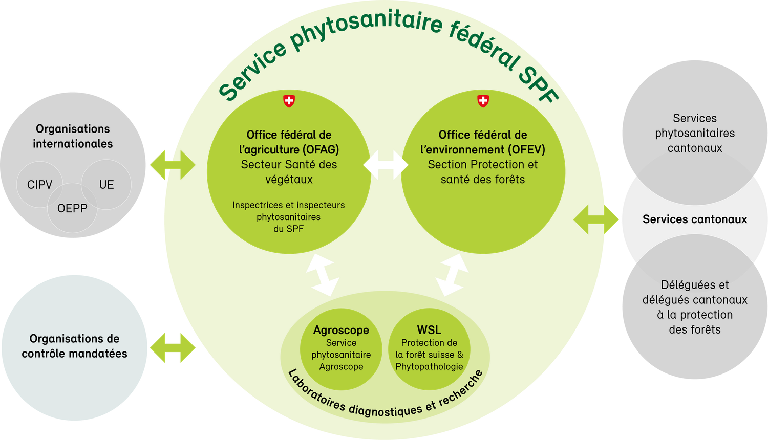 Organigramme du Service phytosanitaire fédéral