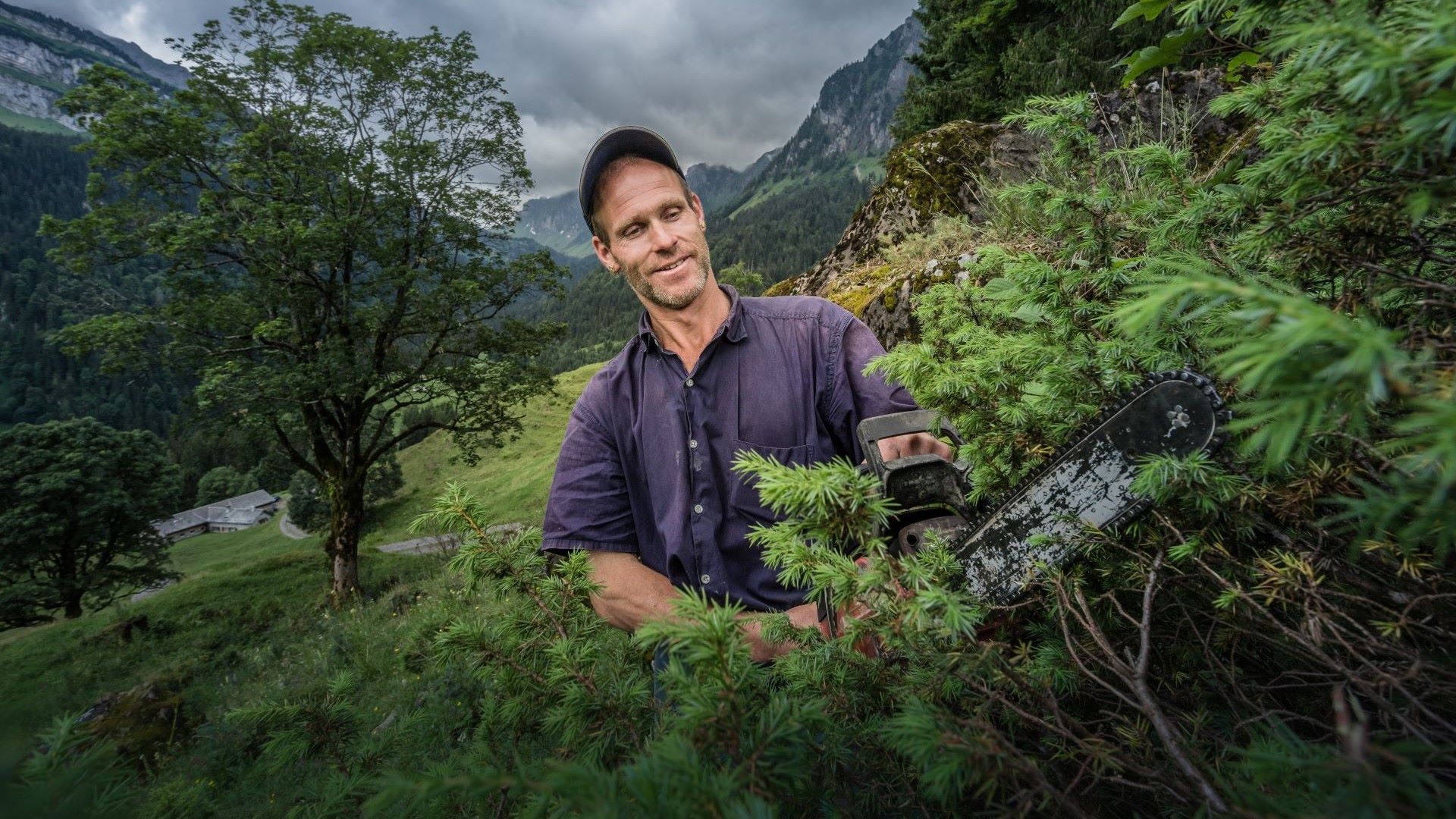 L'agriculteur Siegfried Fischli, de Näfels, est à l'œuvre avec une tronçonneuse dans un pré.