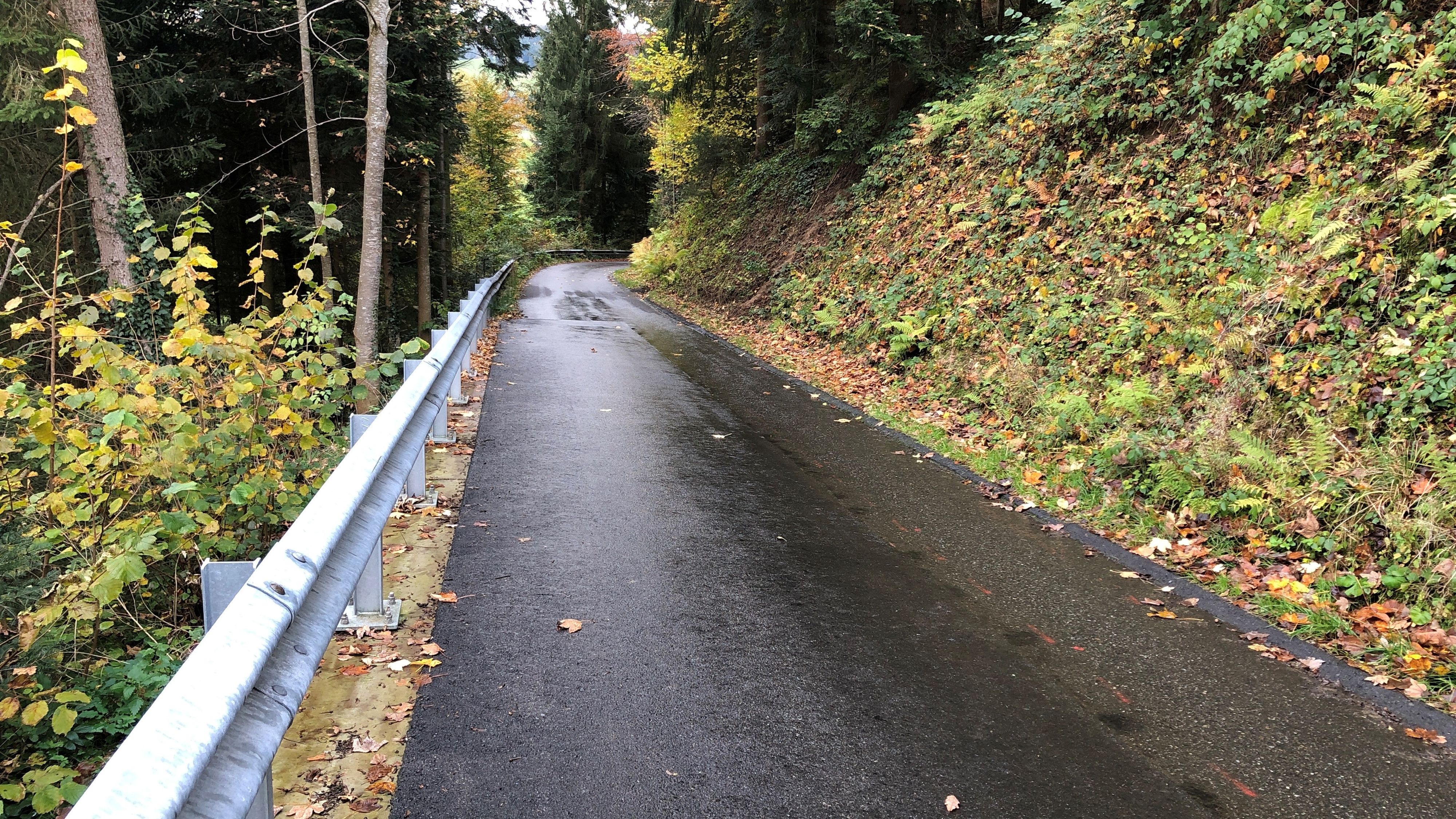 Route parallèle à la pente dans la forêt avec un revêtement bitumineux mouillé et une nouvelle glissière de sécurité à gauche.