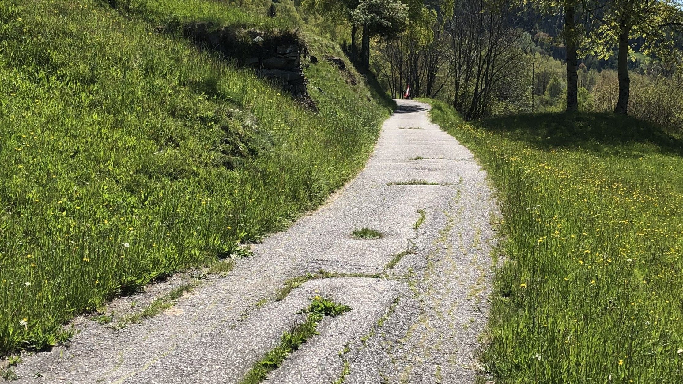 Chemin agricole étroit avec revêtement bitumineux en travers de la pente, avec des trous dans lesquels pousse de l’herbe.