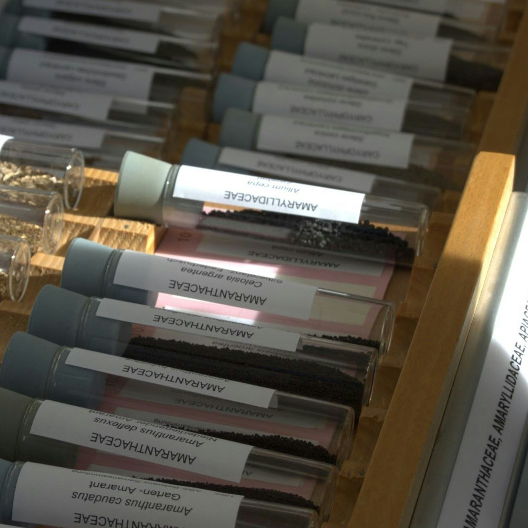 Magasin de semences grâce auquel il est possible d’identifier les graines indésirables lors de l’analyse de la pureté variétale.