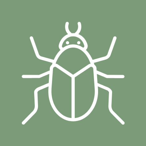 Icon organismes réglementés non de quarantaine insecte, acarien