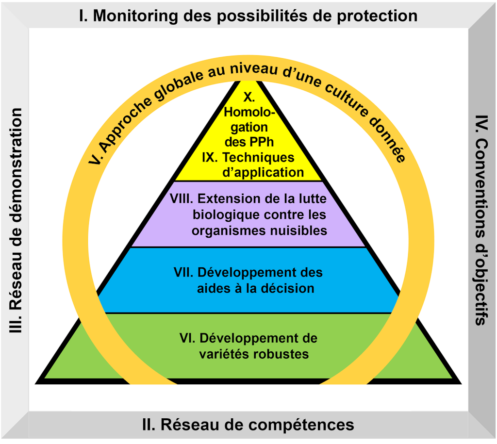 Plan des dix mesures prévues. Les quatre mesures d’amélioration des conditions générales de l’activité sont représentées sous la forme d’un carré gris : I. plate-forme nationale de monitoring ; II. réseau de compétences ; III. réseau de démonstration ; IV. conventions d’objectifs. Dans ce cadre gris est inscrit un cercle orange représentant la mesure visant à renforcer la lutte phytosanitaire intégrée : V. approche globale pour une culture donnée. Au centre du cercle figure une pyramide où sont définies les cinq mesures spécifiques. VI. développement de variétés robustes (à la base, sur fond vert) ; VII. développement des aides à la décision (deuxième niveau, sur fond bleu) ; VIII. extension de la lutte biologique contre les organismes nuisibles (troisième niveau, sur fond mauve) ; IX. techniques d’application et X. homologation des PPh (les deux au quatrième niveau, sur fond jaune).