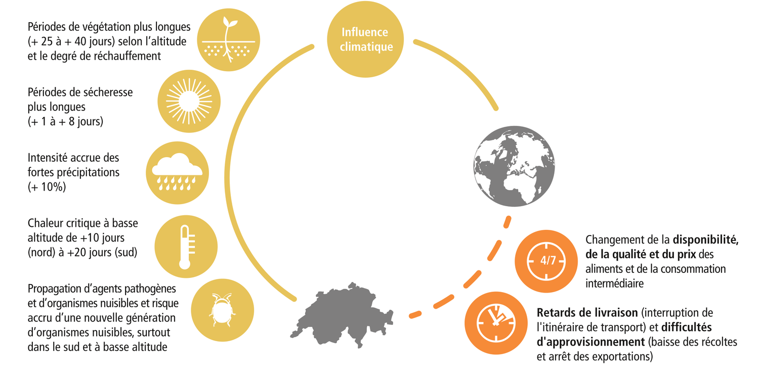 e schéma montre une ligne circulaire avec un cercle dans lequel est inscrit « Influence climatique » à douze heures, une Terre à trois heures et la Suisse à six heures. Le long de la ligne circulaire se trouvent cinq symboles à gauche, qui représentent l'influence climatique directe sur la Suisse. Deux symboles se trouvent en bas à droite et représentent les effets indirects de la Terre sur la Suisse. Les symboles sont accompagnés d'une légende. Le symbole supérieur à gauche montre un jeune plant, à côté duquel est écrit : « Selon l'altitude et le degré de réchauffement, la période de végétation s'allonge de +25 à +40 jours ». Le symbole en dessous montre un soleil. Il est accompagné de la mention : « Périodes de sécheresse plus longues et continues (+1 à +8 jours) ». À côté du symbole suivant, un nuage avec des gouttes de pluie, on peut lire : « Augmentation de l'intensité des fortes précipitations de 10 % ». Le symbole suivant est un thermomètre. Il est accompagné de l'inscription suivante : « Chaleur critique en basse altitude pendant +10 (nord) à +20 (sud) jours ». Le symbole du bas représente un scarabée. Le texte qui l'accompagne : « Poursuite de la propagation d'agents pathogènes et de ravageurs et risque accru d'une génération supplémentaire de ravageurs, surtout dans le sud et à basse altitude ». Le symbole supérieur à droite montre une ligne circulaire avec « 24/7 ». Il est accompagné du texte suivant : « Variation de la disponibilité, de la qualité et du prix des denrées alimentaires et des intrants ». Le symbole du bas représente une horloge et, à côté, on peut lire : « Retards de livraison (interruption de l'itinéraire de transport) et pénuries d'approvisionnement (pertes de récoltes et arrêts des exportations) ».