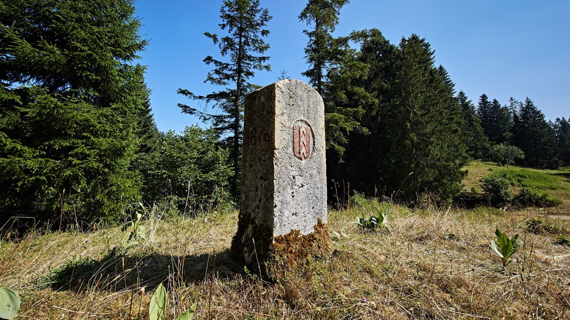 Borne de délimitation