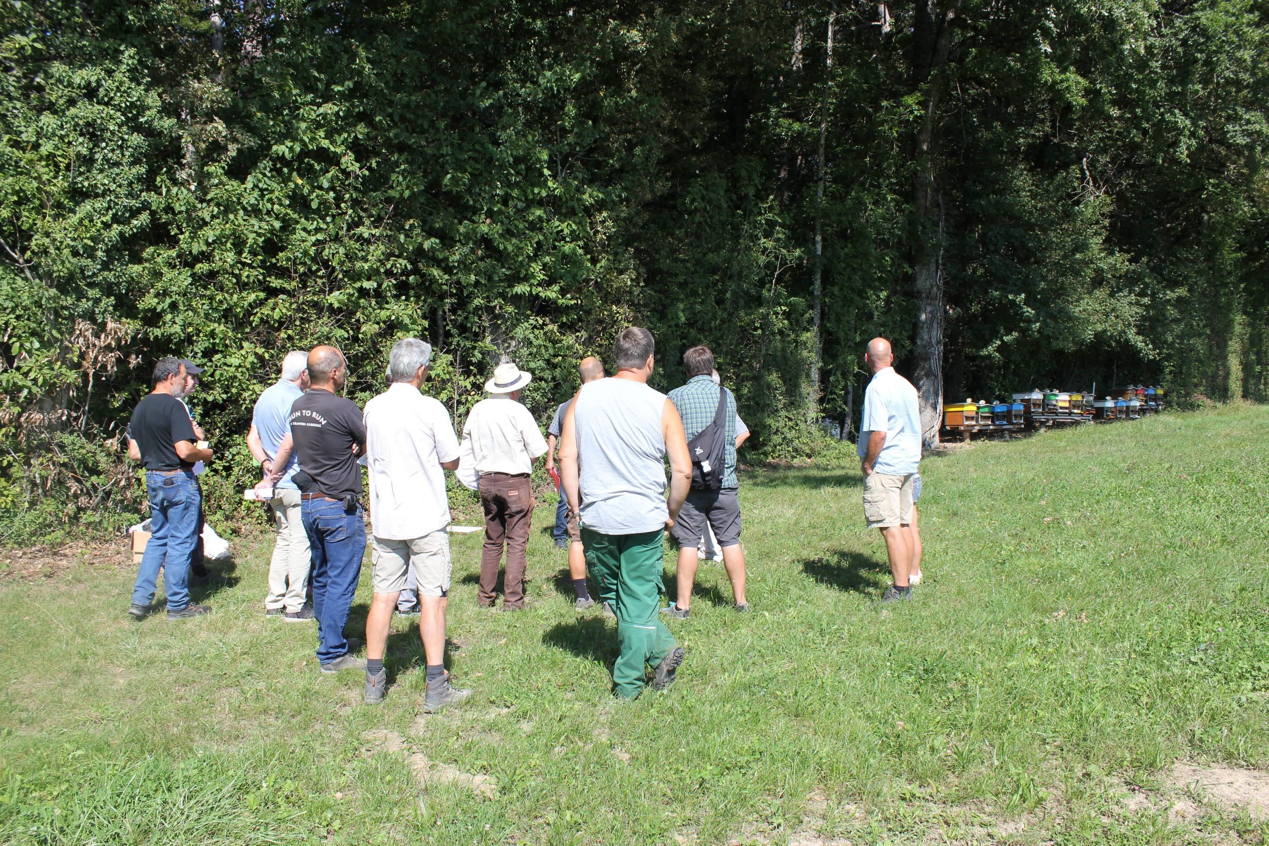 Personnes dans un champ devant la forêt