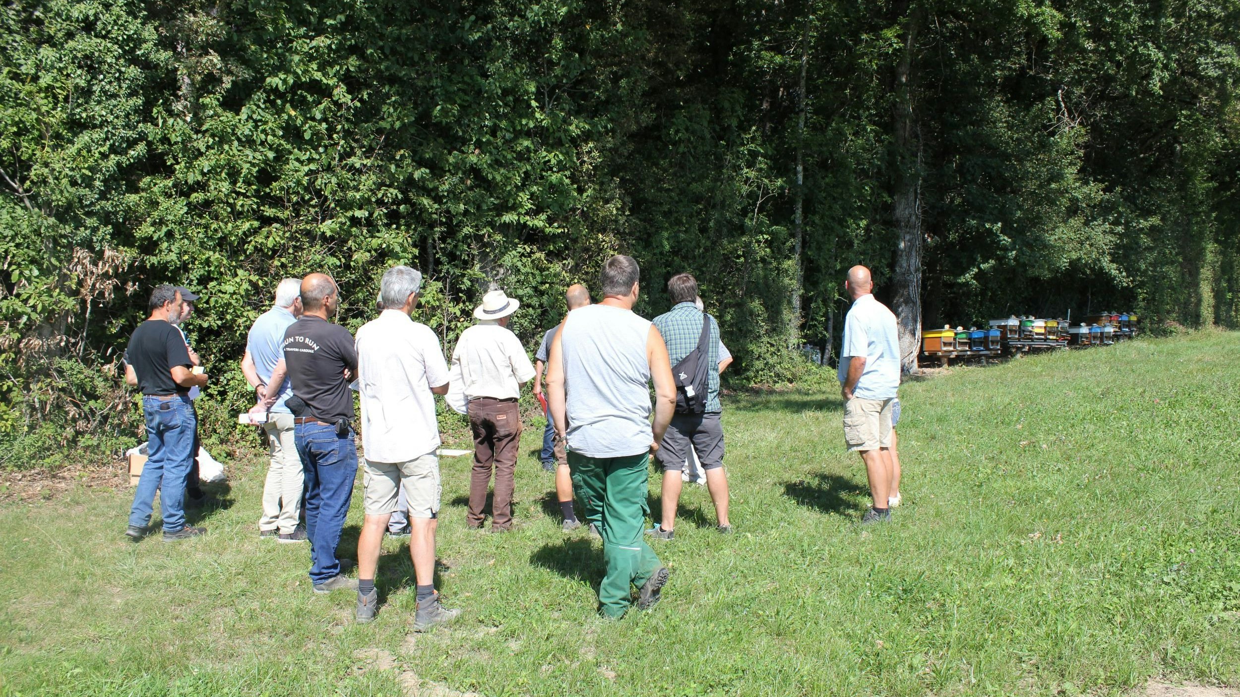 Personnes dans un champ devant la forêt