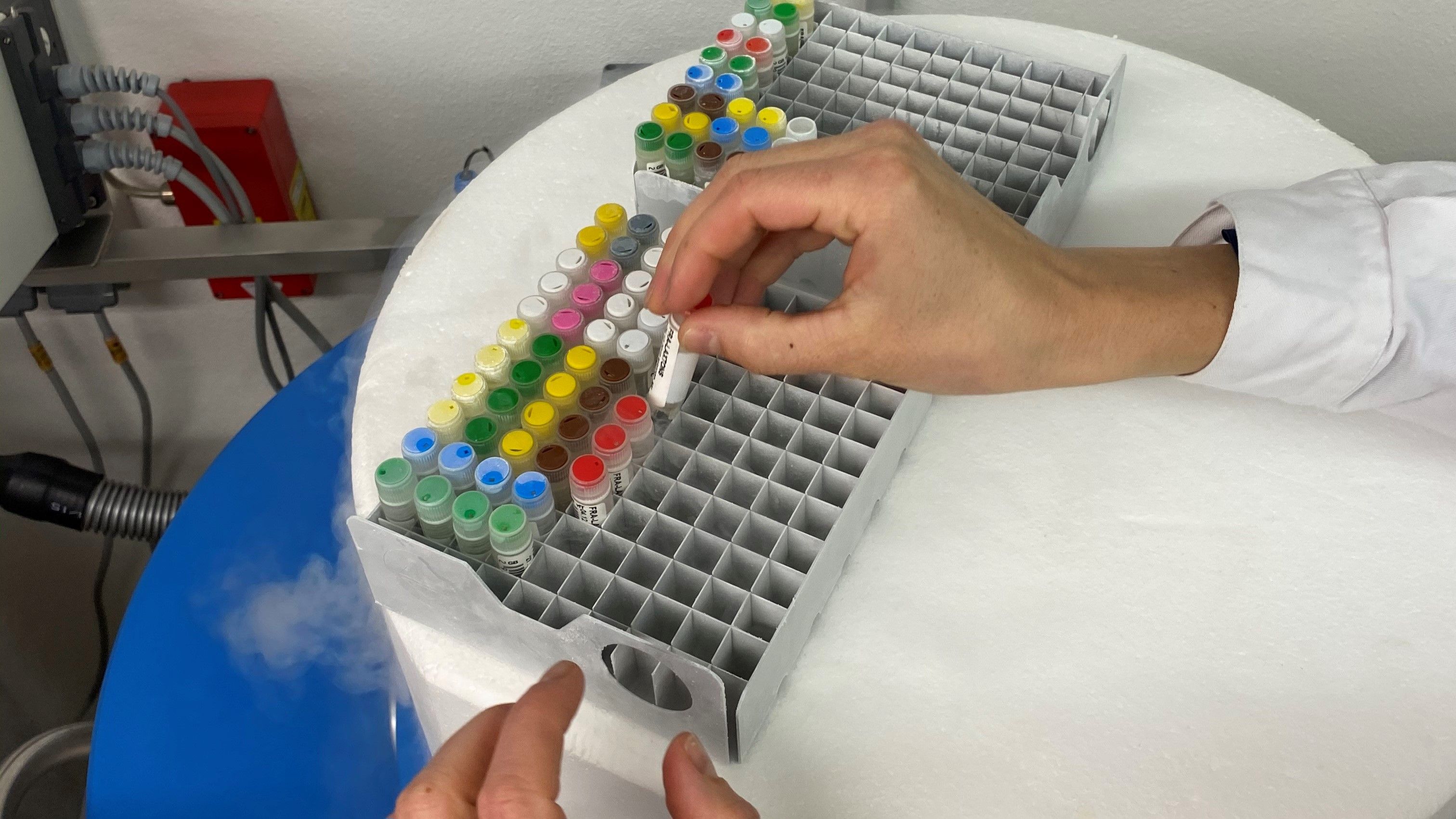 Une scientifique dépose un tube sur un support métallique posé sur un réservoir d’azote liquide. 