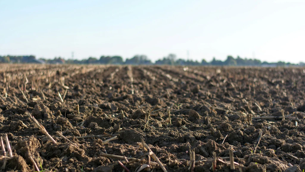 Gros plan sur un terrain agricole