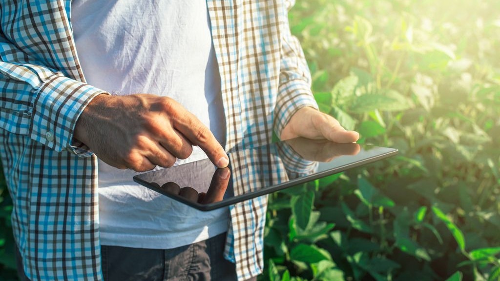 Un agriculteur utilise une tablette dans les champs.
