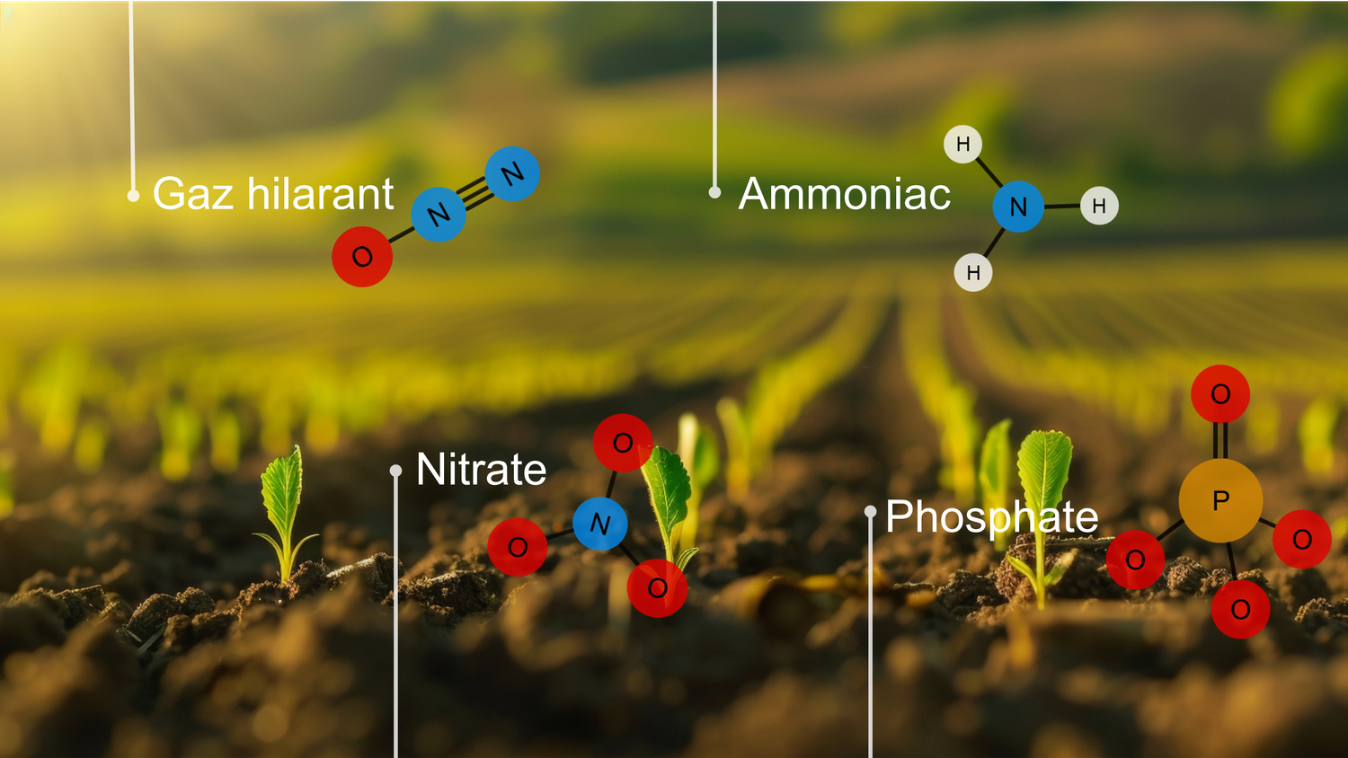 Nom et formule structurelle du gaz hilarant (N2O), du nitrate (NO3), de l’ammoniac (NH3) et du phosphate (PO4) dans un champ de plantons.