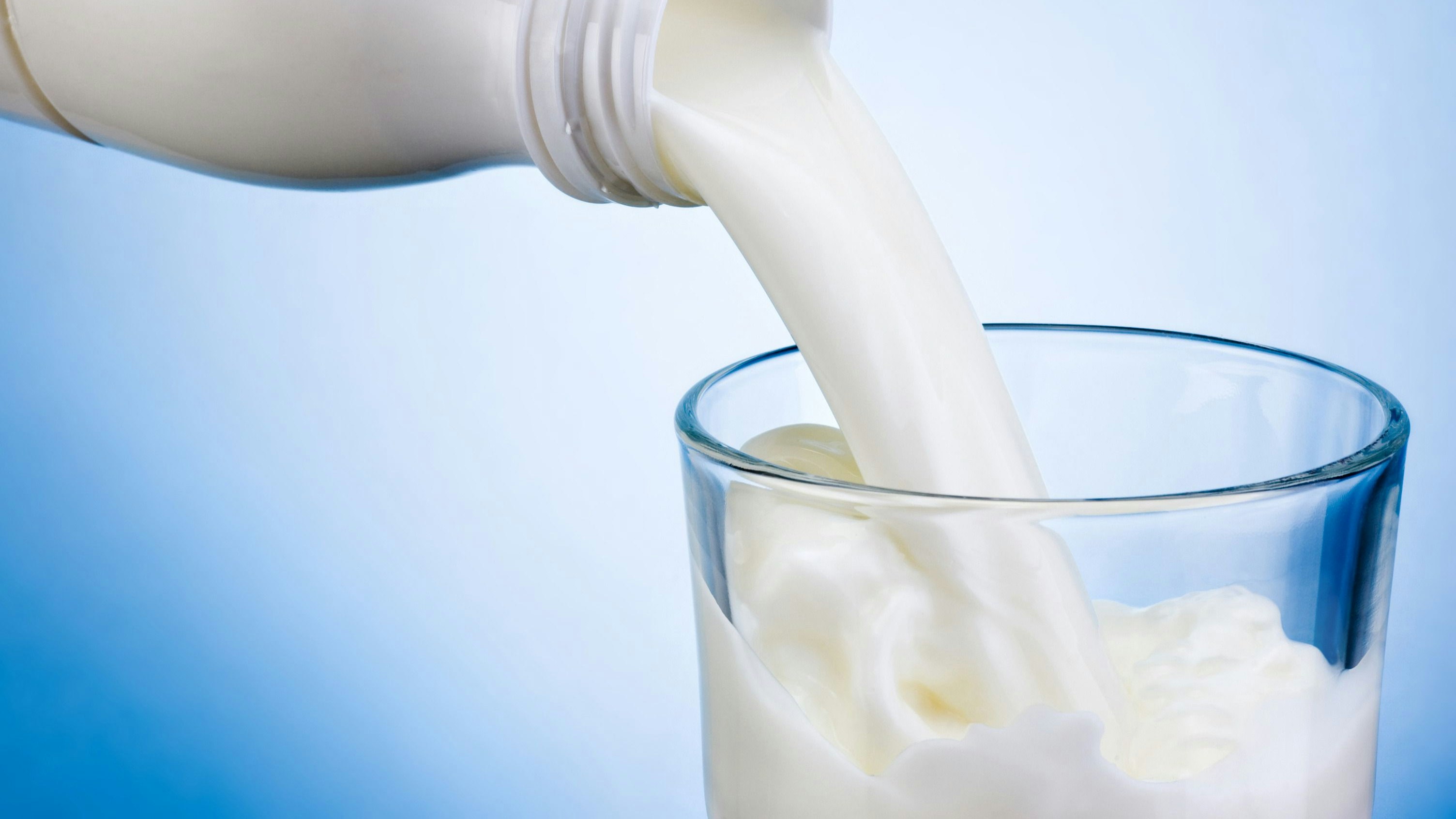 Du lait est versé dans un verre