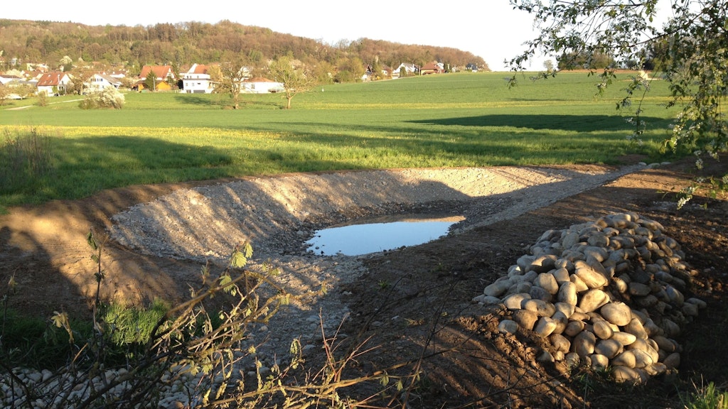 Nouvelle mare à amphibiens avec un tas de pierres dans la région de Scheimatten, commune de Kappel 