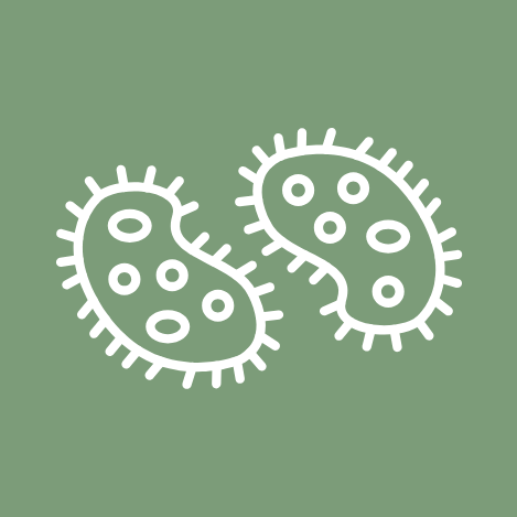 Icon organismes réglementés non de quarantaine bactérie