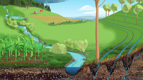 Représentation des mesures de rétention d'eau