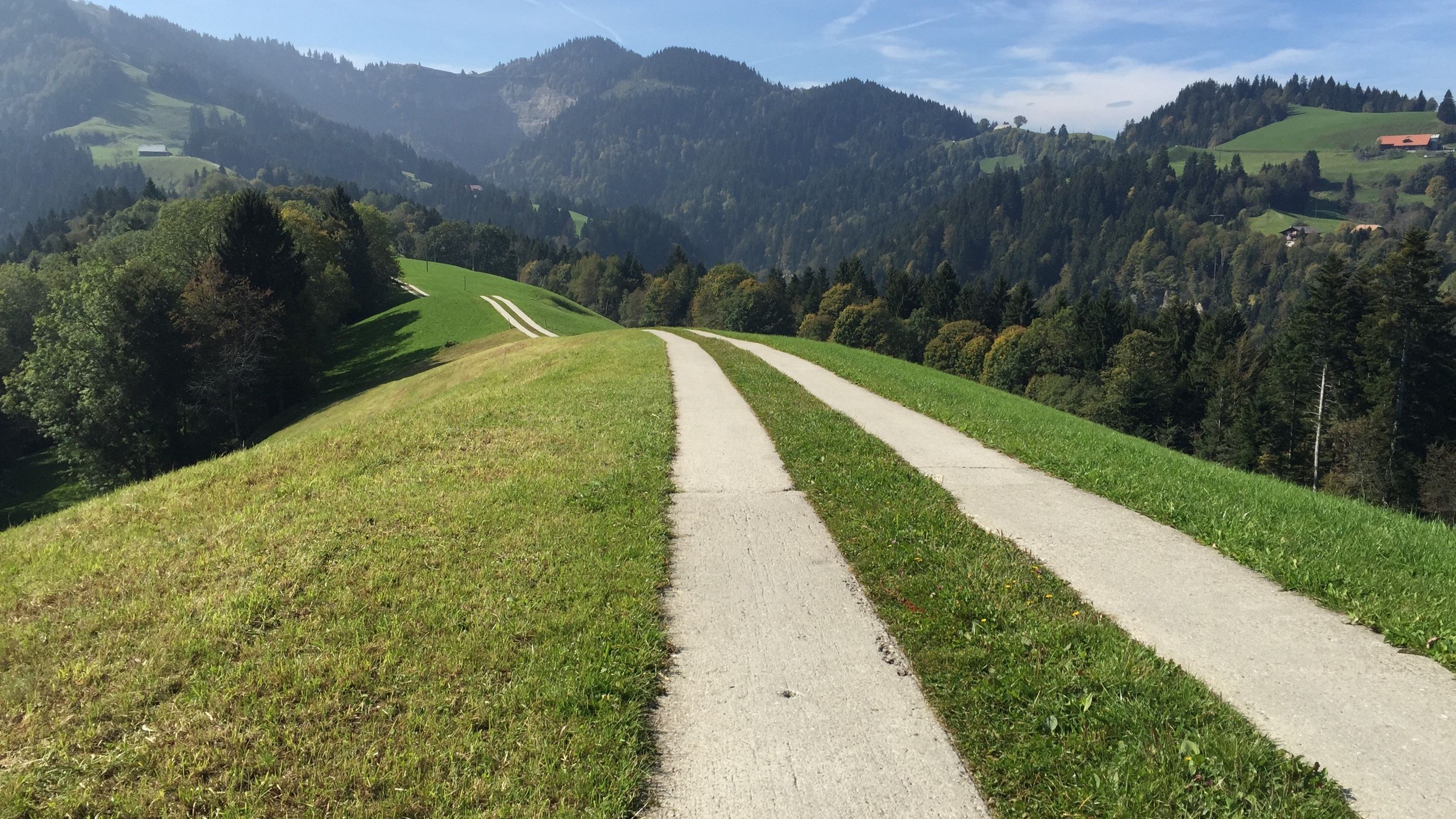 Un chemin avec bandes de roulement en béton serpente au sommet d’une colline. La bande médiane sans revêtement est recouverte d’herbe.