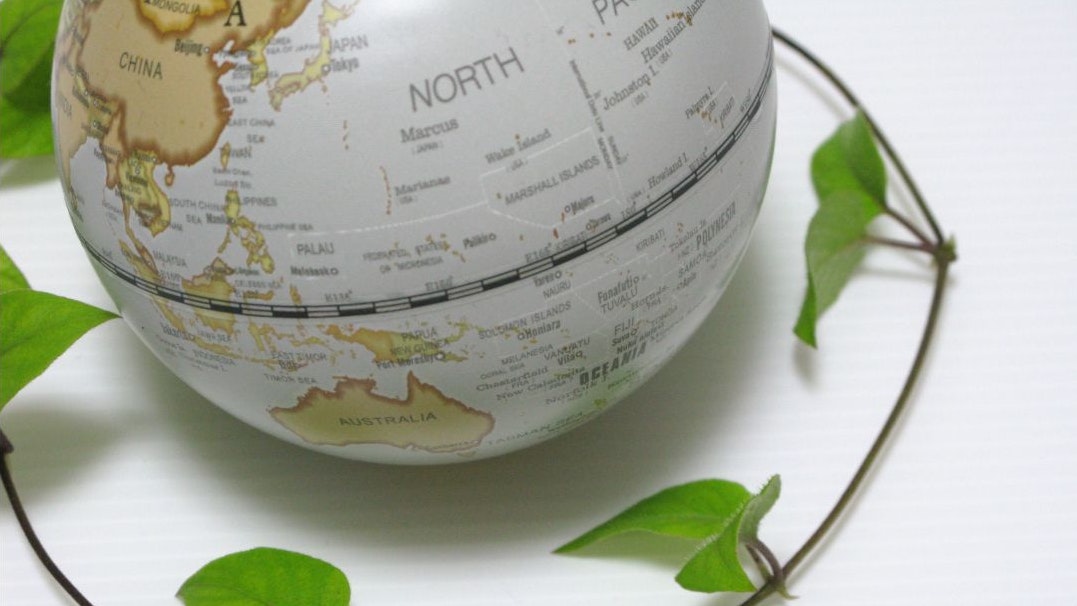 Globe entouré d’une plante