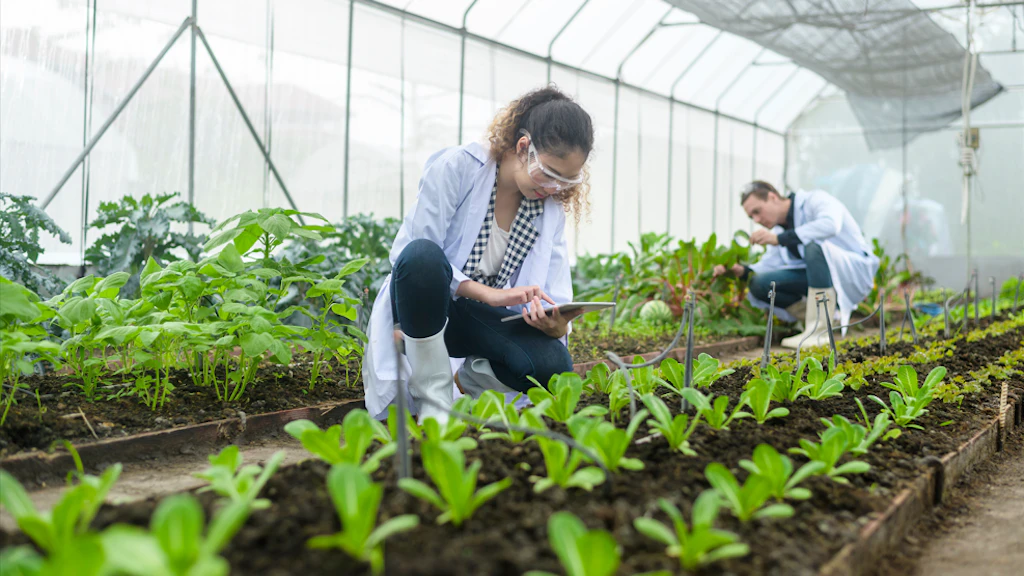 Des scientifiques analysent des plantes de légumes biologiques en serre.Des scientifiques analysent des plantes de légumes biologiques en serre.