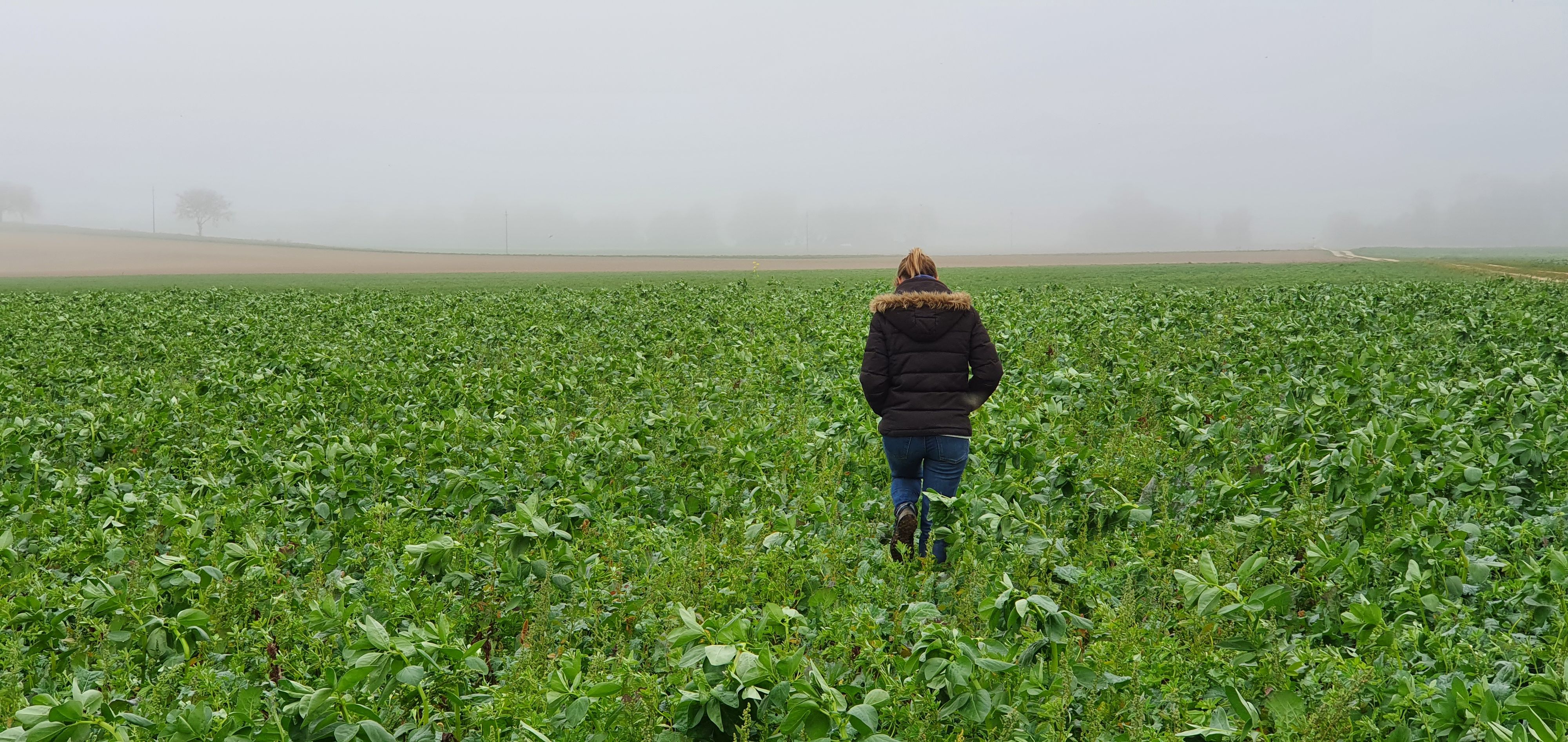 Personne dans une culture de colza