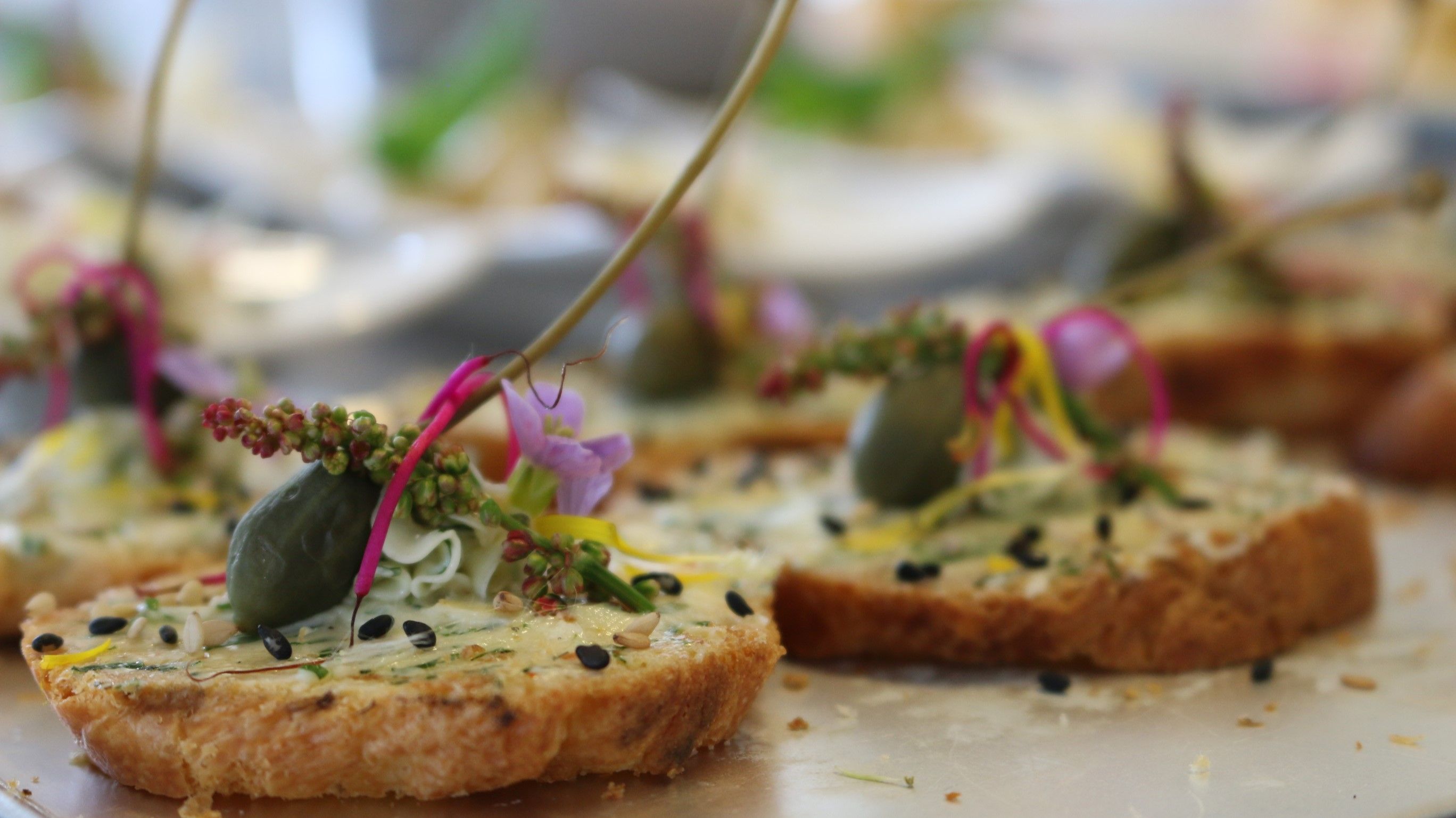 Assiette superbement dressée avec des plantes sauvages