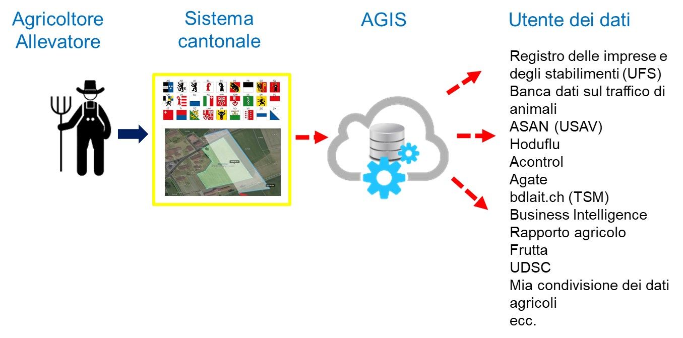 Il processo di raccolta dei dati a livello nazionale funziona come segue: l'agricoltore o l'allevatore inserisce i propri dati in un sistema cantonale. Il Cantone invia poi i dati all'Agis. Questi dati possono poi essere ottenuti da terzi autorizzati, come il REE, la banca dati sul traffico di animali e molti altri.