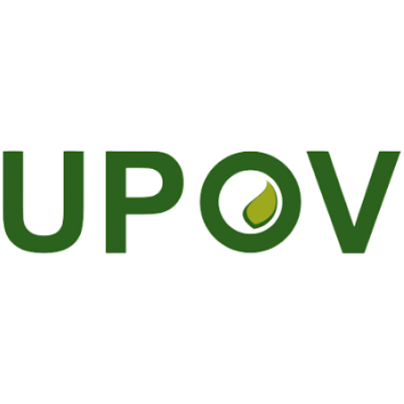 Unione internazionale per la protezione delle novità vegetali (UPOV)