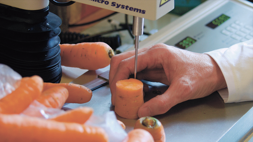Uno scienziato analizza una sezione di carota.