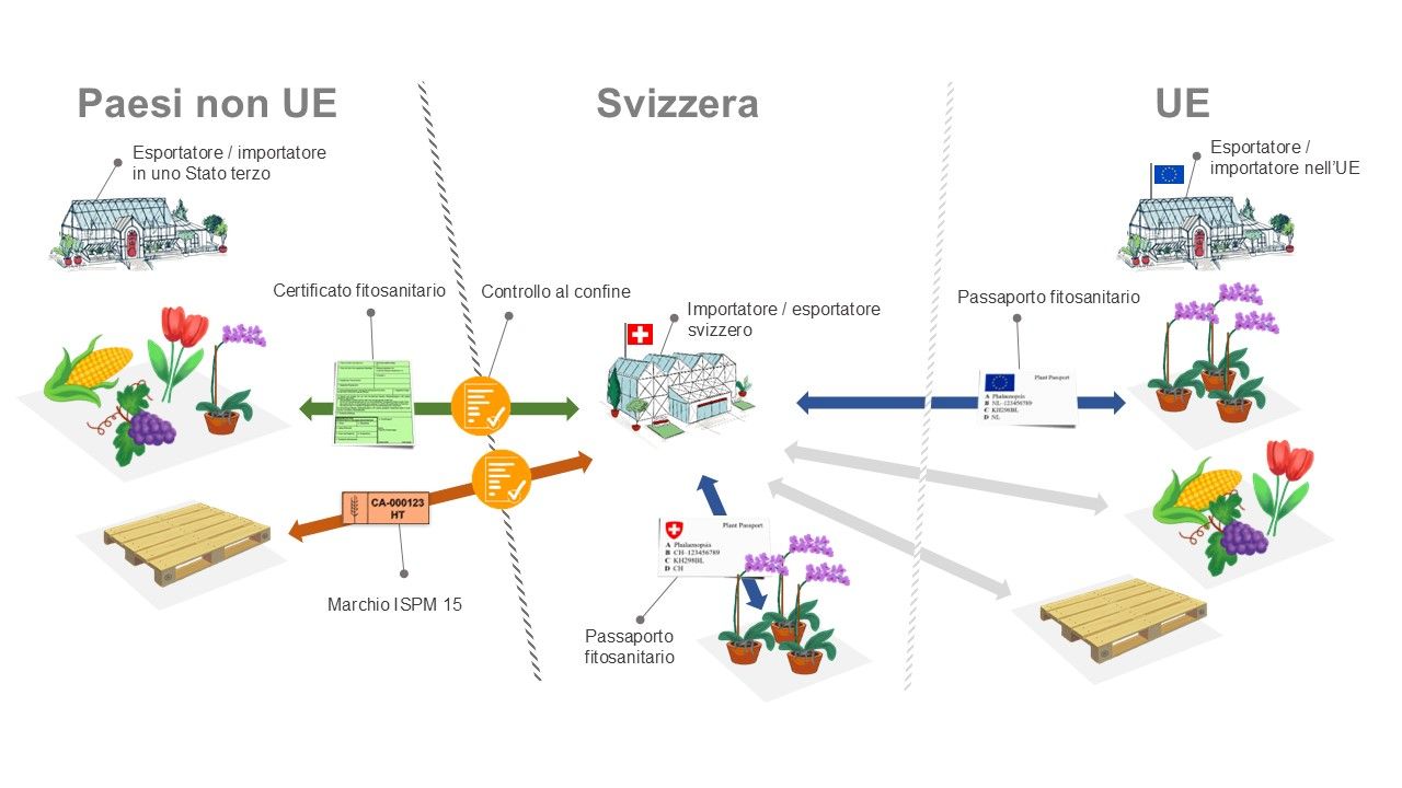 Campo di applicazione del sistema del passaporto fitosanitario.