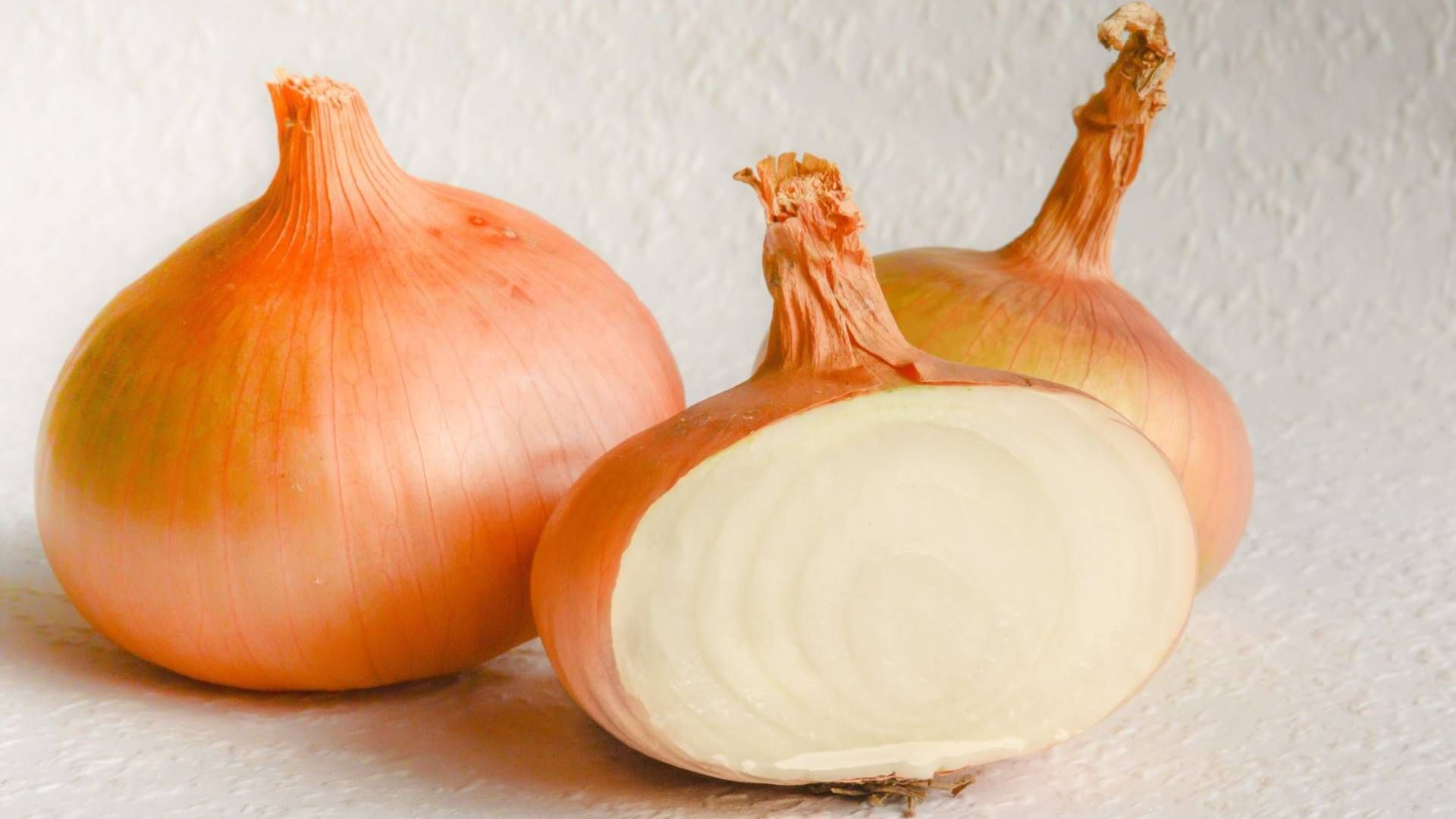 Cipolla intera e affettata della varietà Plat du Vully. La forma appiattita è chiaramente visibile.