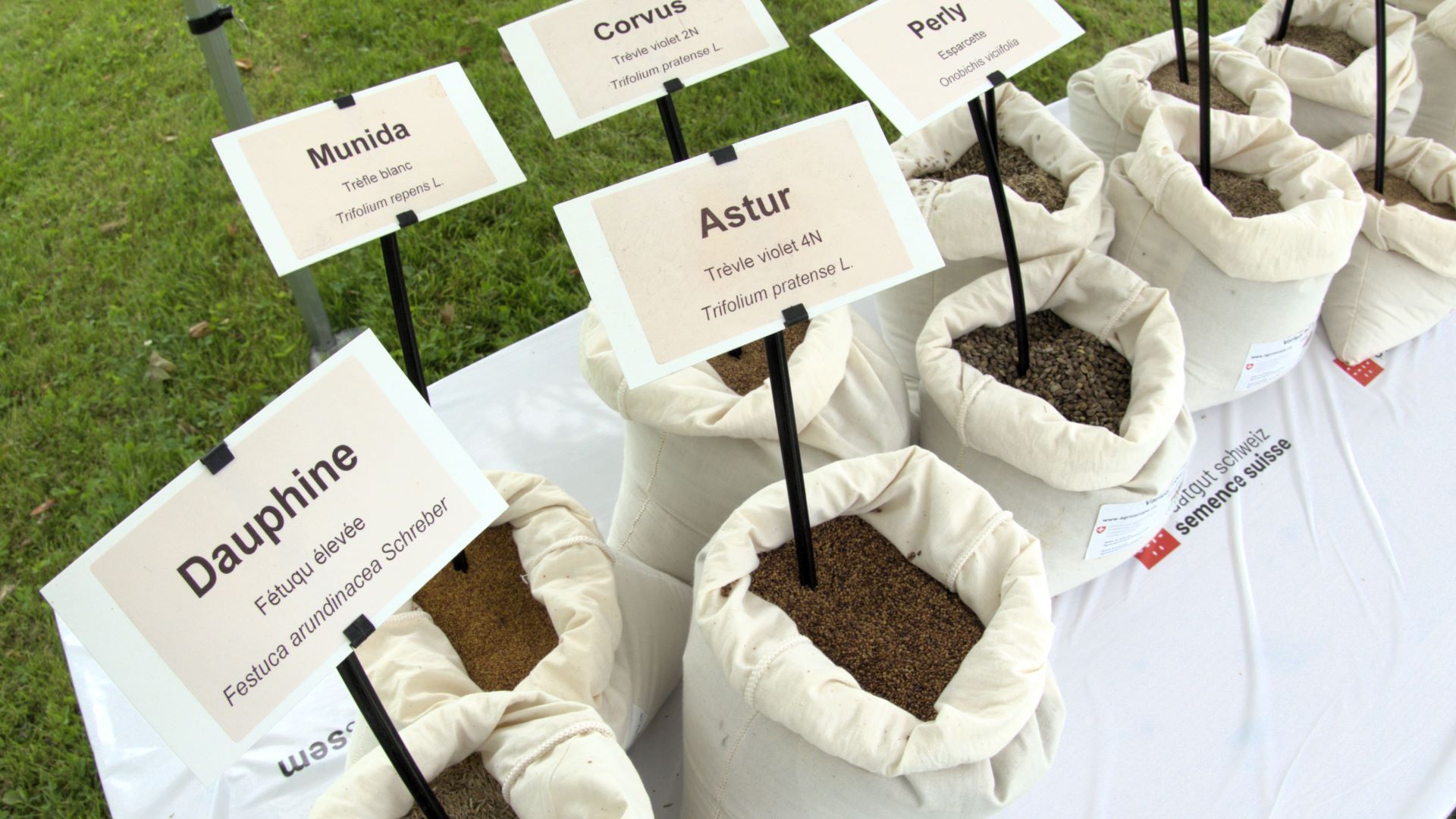 Ogni sacchetto contiene dei semi. Un'etichetta apposta sul sacchetto descrive la specie e la varietà della pianta foraggera.