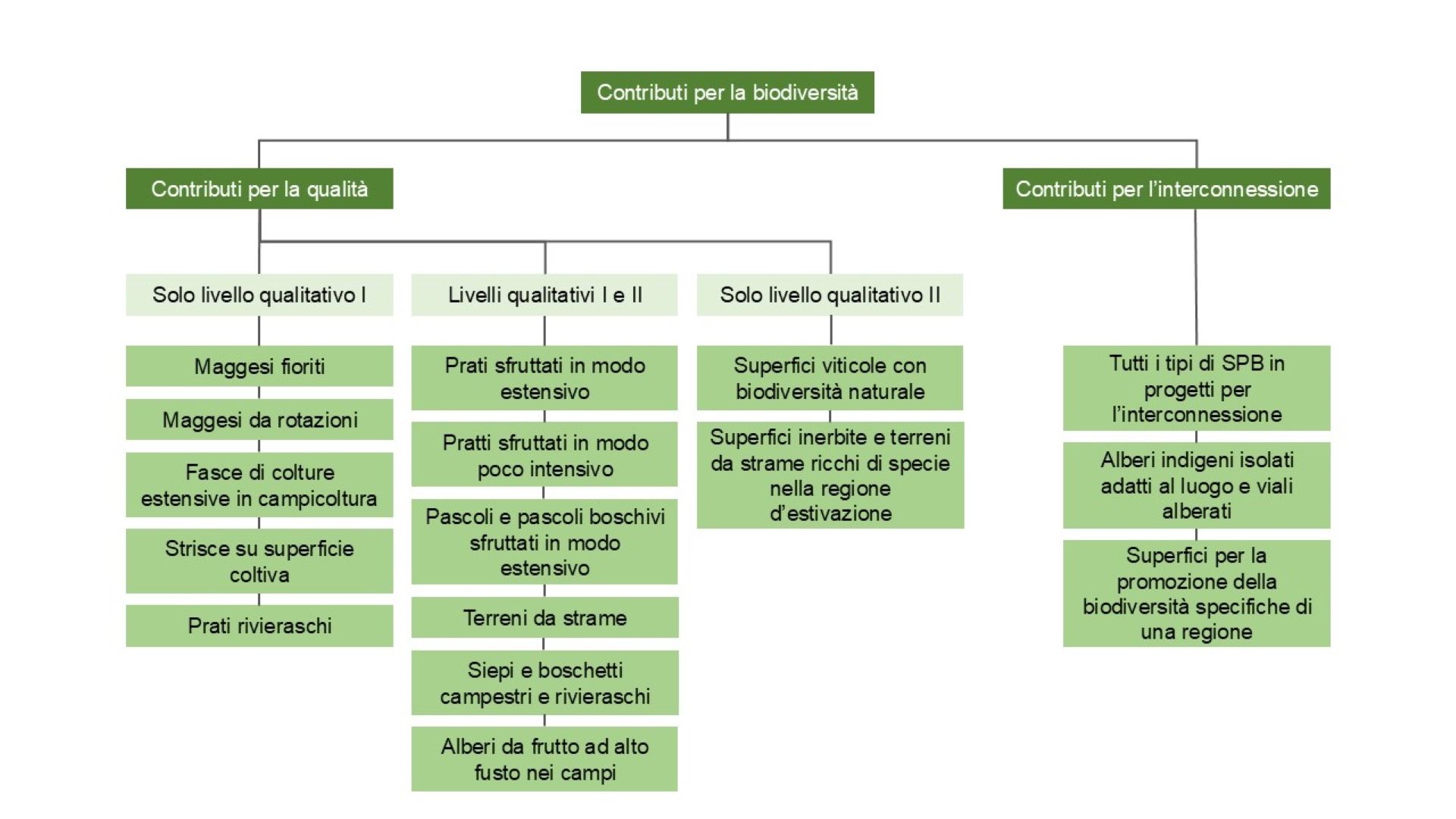 Il diagramma fornisce una panoramica dei diversi tipi di contributi alla biodiversità. Questi sono costituiti da contributi di qualità e contributi di rete.