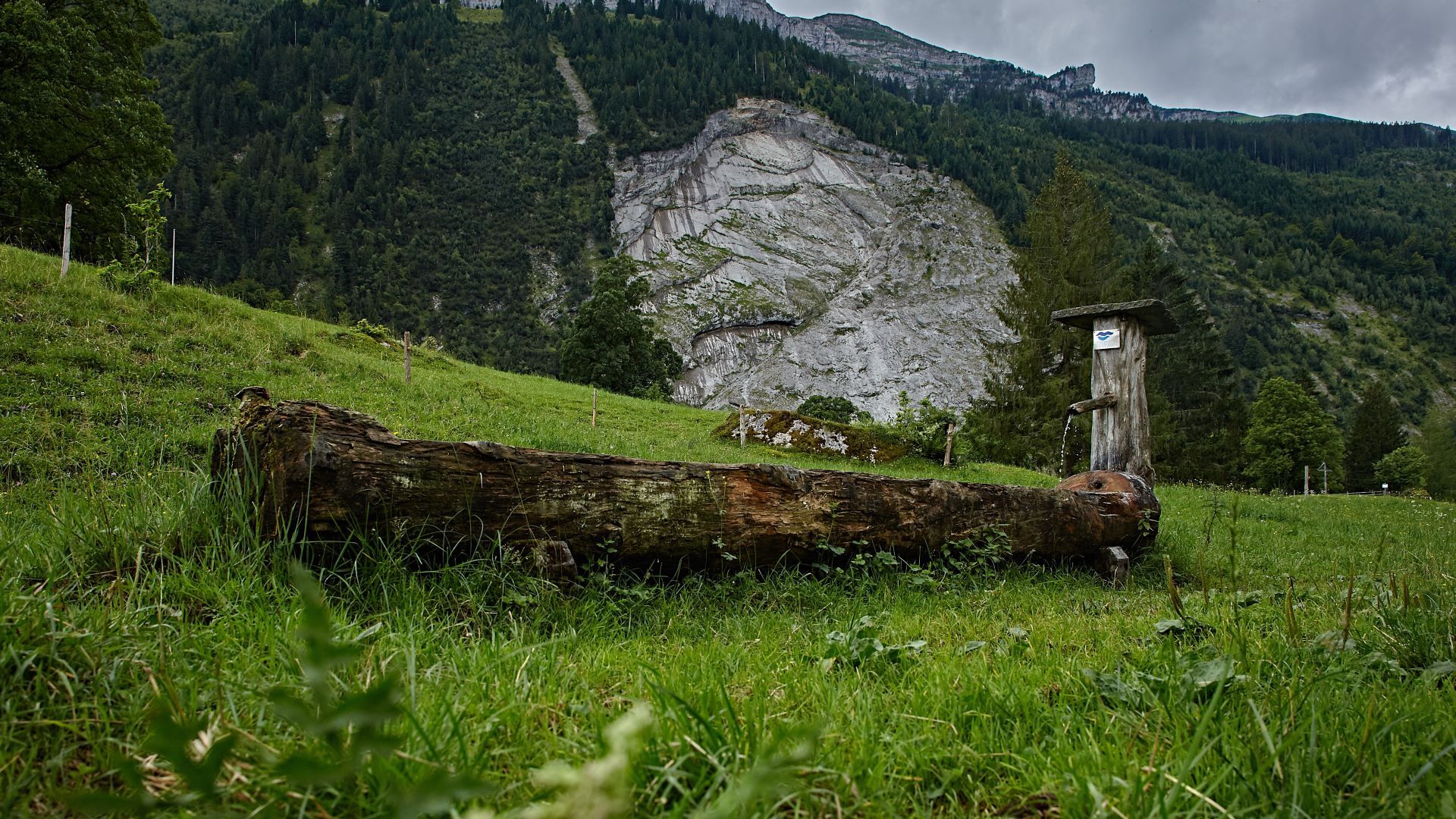 Una fontana in legno in un prato