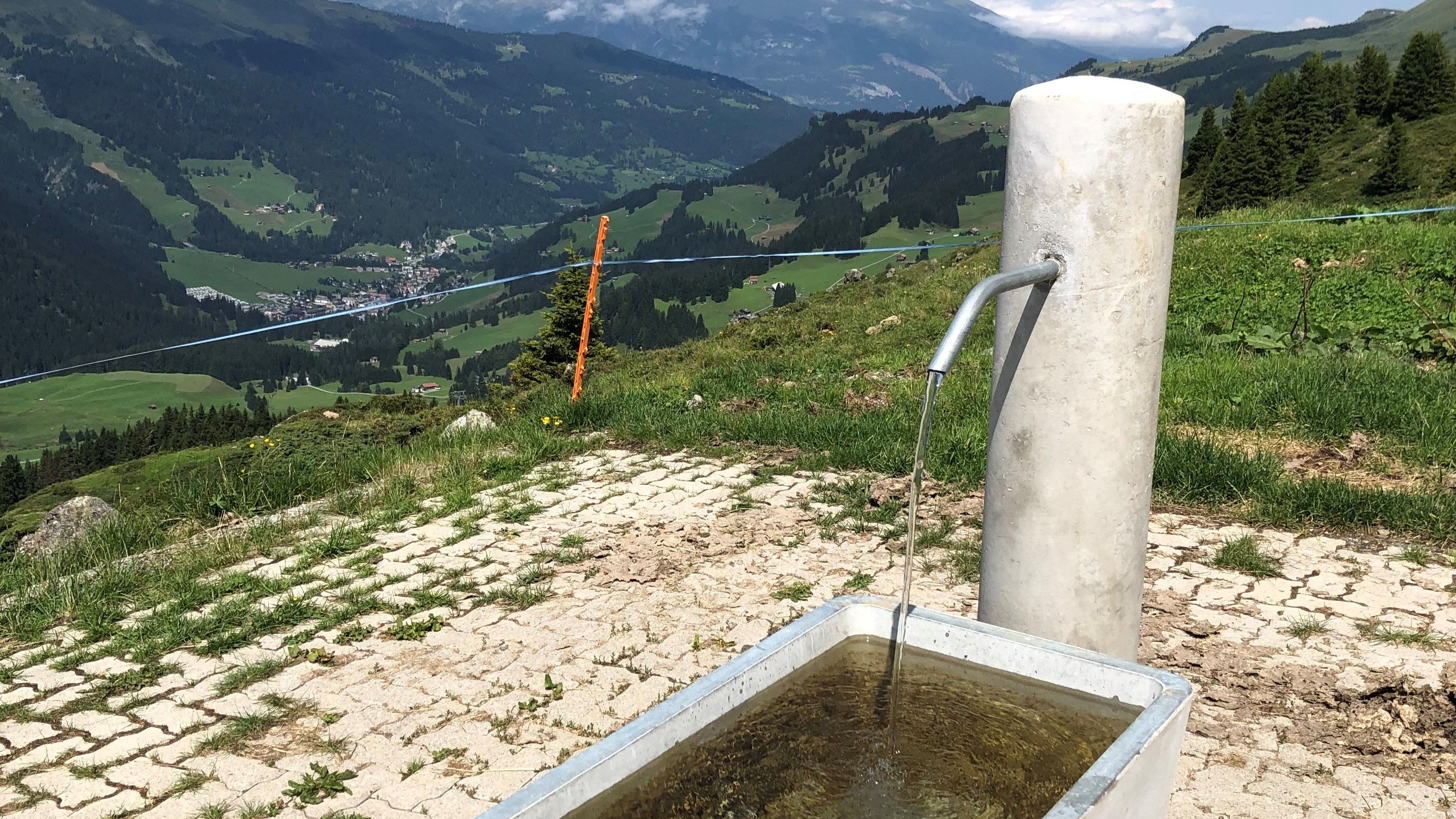 Abbeveratoio in cemento per il bestiame su superficie pavimentata nella regione di montagna.