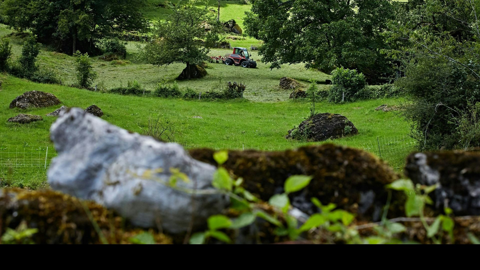 Prati e pascoli strutturalmente ricchi