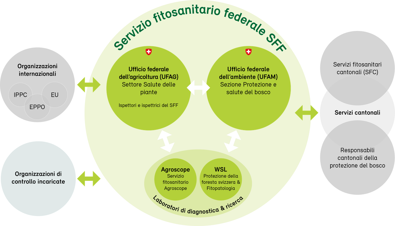 Organigramma del Servizio fitosanitario federale