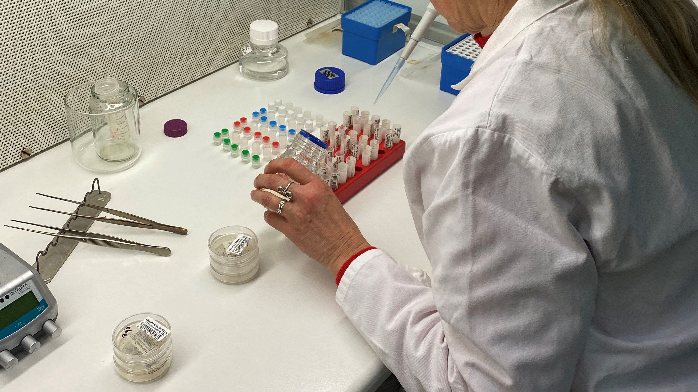 Una laboratorista pipetta una soluzione in una provetta.