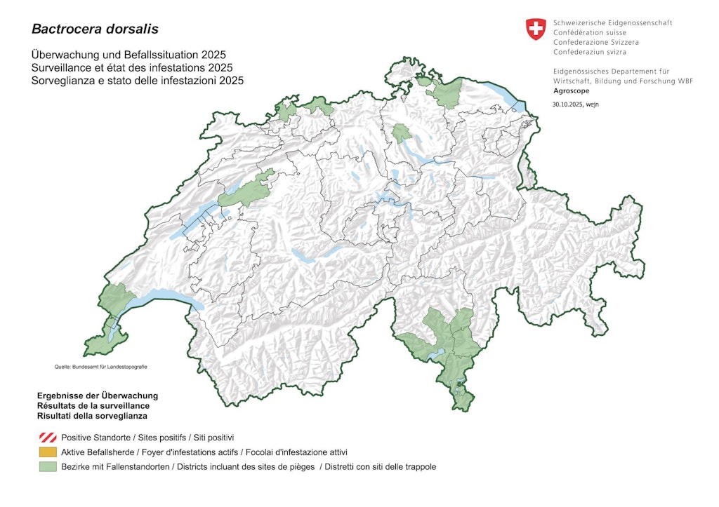 Mappa finale della sorveglianza e stato stato delle infestazioni mosca orientale della frutta 2025