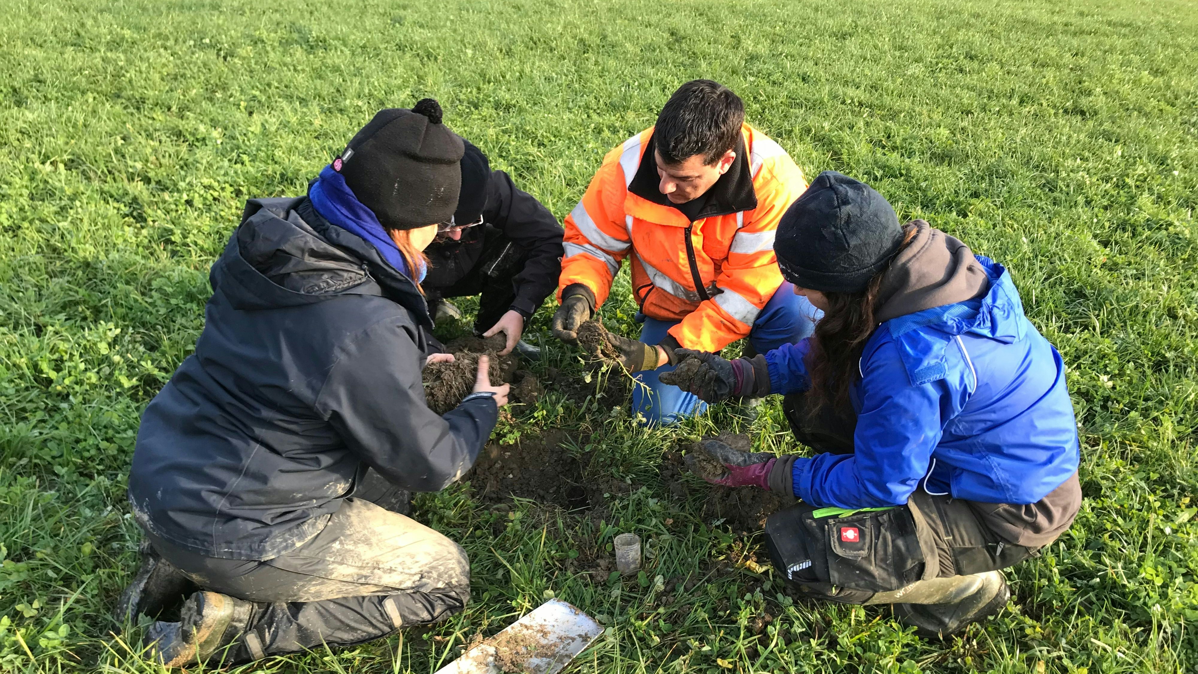 Quattro persone contano i lom-brichi presenti in un campione di suolo