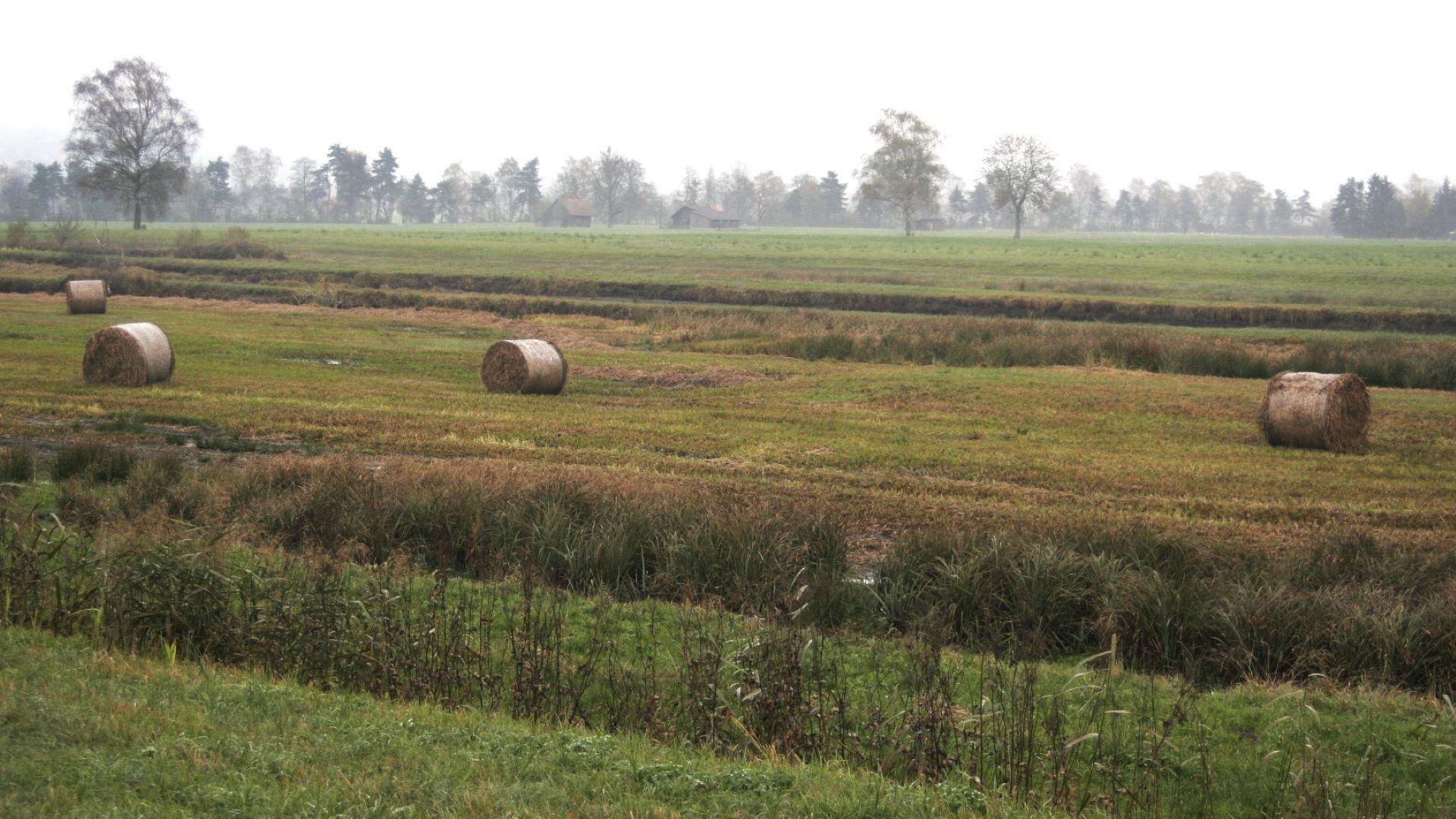 Area di lettiera con balle di fieno