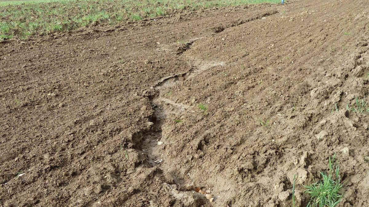 Terreno con solco di erosione