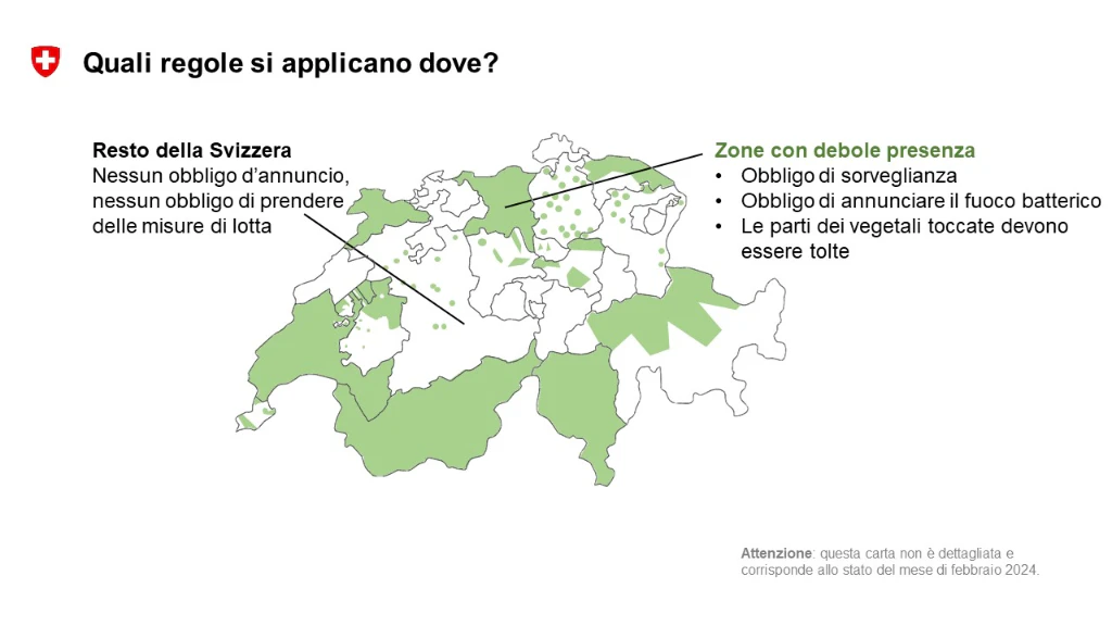 Carta zone con debole presenza per il fuoco batterico 