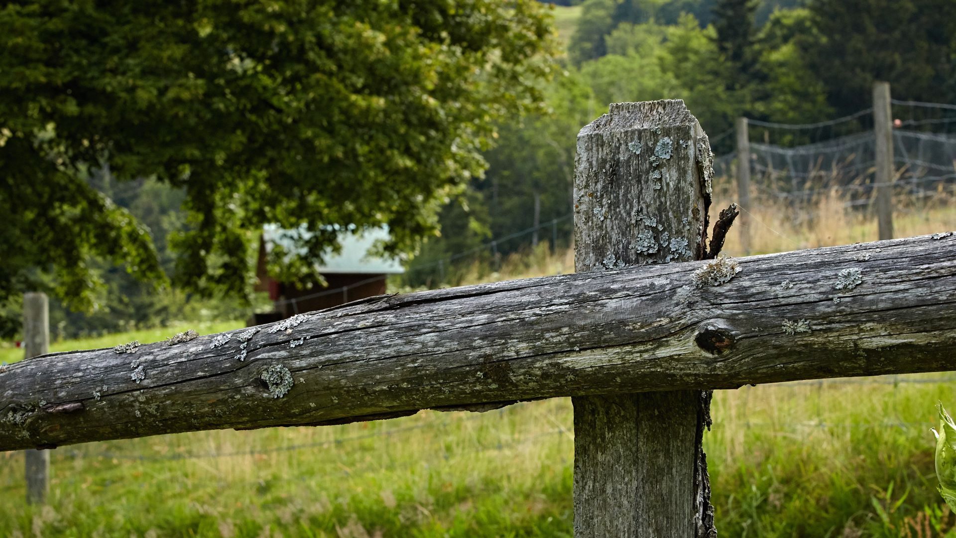 Recinzioni in legno