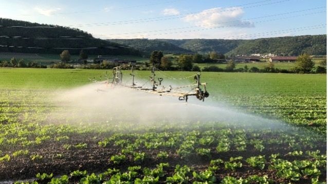 Un campo viene irrigato con un impianto mobile.