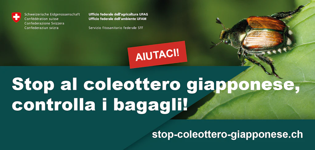 Campagna dell’UFAG con un primo piano di un coleottero giapponese su una foglia verde con lo slogan:«Stop al coleottero giapponese, controlla i bagagli!» e un riquadro rosso con la scritta «Aiutaci!»